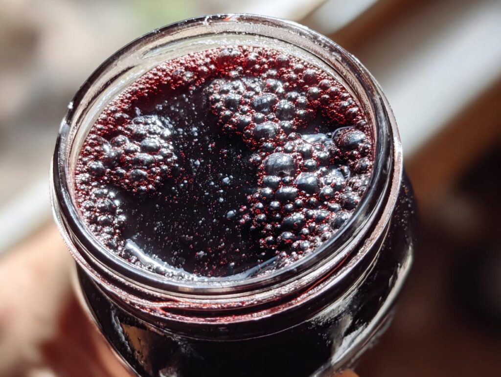 elderberry syrup